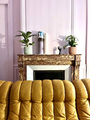 Salle rose coworking Lyon Algérie Ballad Club