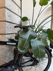 Coworking Lyon bureau design Ballad Club